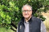 Sil Coccia